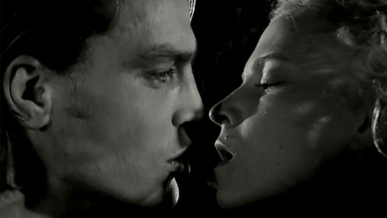 кадр из фильма Venus in Furs