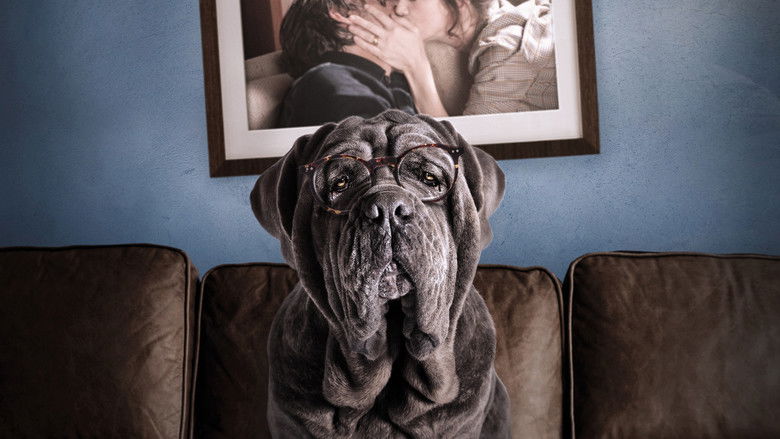 кадр из фильма Моя собака Идиот