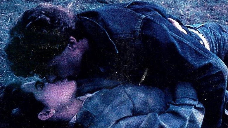 кадр из фильма Nickel Mountain