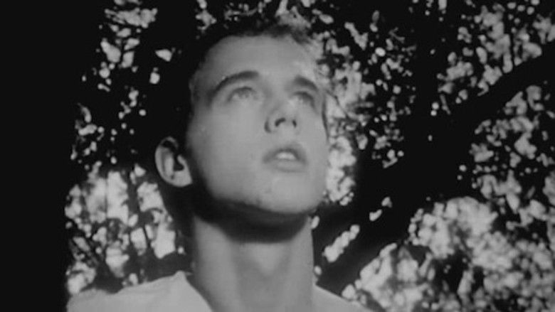 кадр из фильма Saint