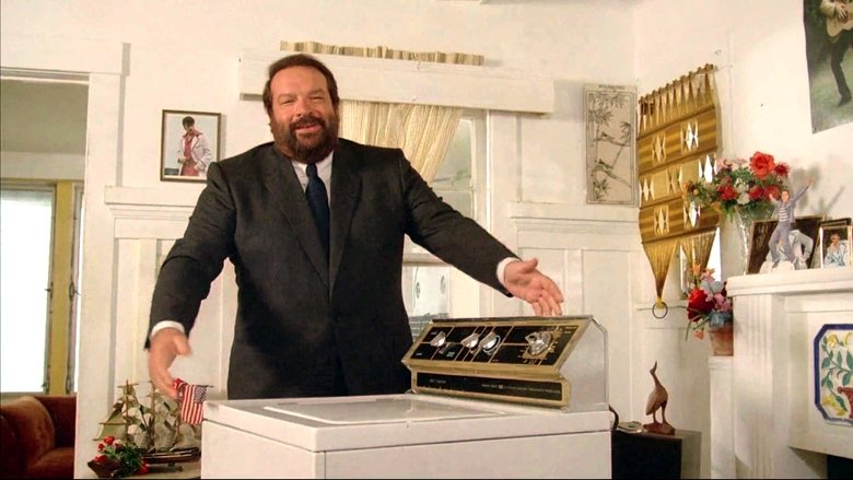 Собаки и кошки