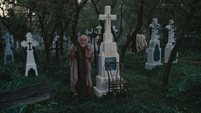 кадр из фильма Среди серых камней