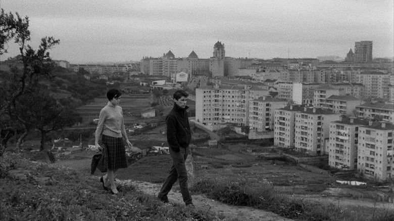 кадр из фильма Os Verdes Anos