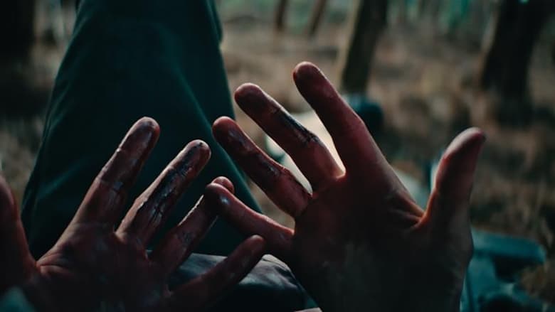 кадр из фильма Limbo