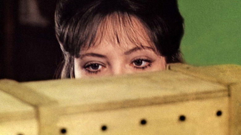 кадр из фильма L'Alliance