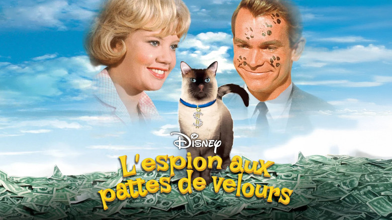 кадр из фильма Эта дикая кошка