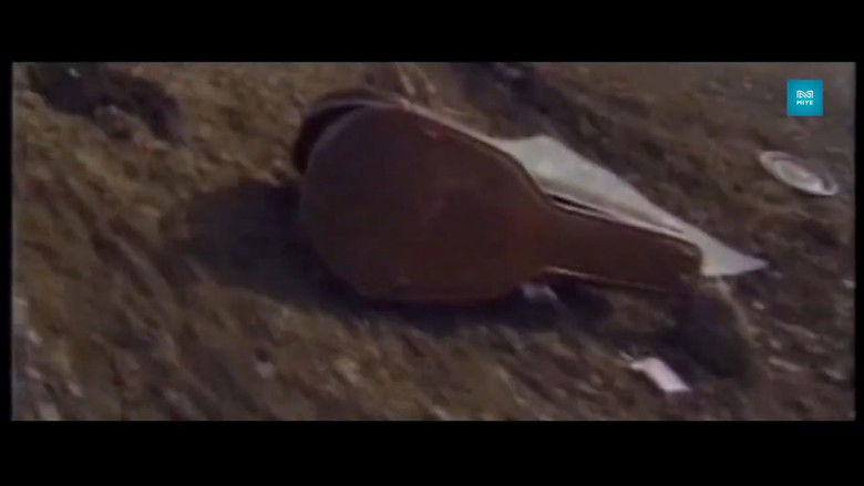 кадр из фильма Тавилан 1