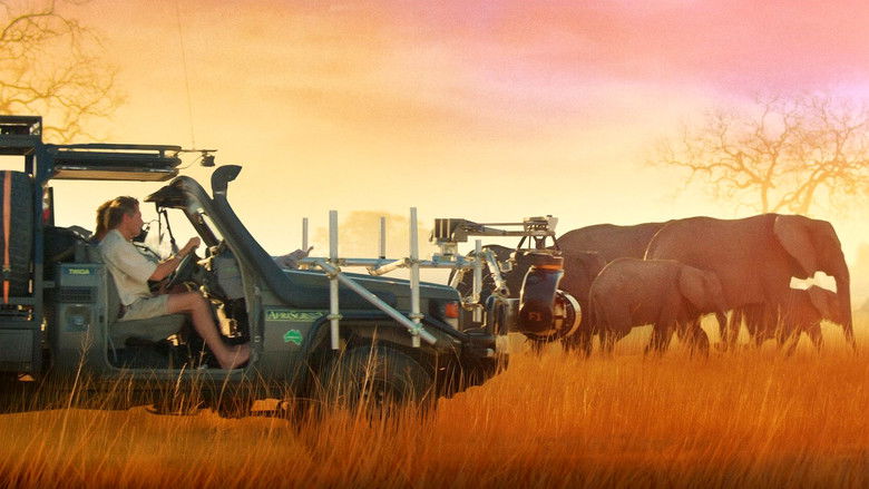 кадр из фильма In the Footsteps of Elephant