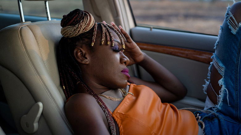 кадр из фильма On Becoming a Guinea Fowl