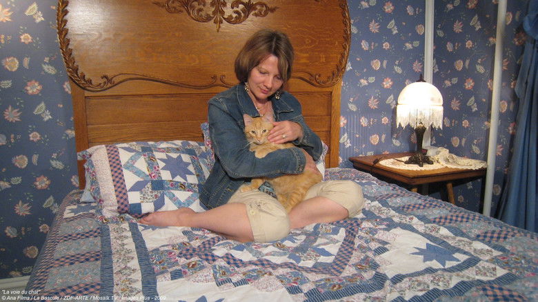 кадр из фильма La voie du chat