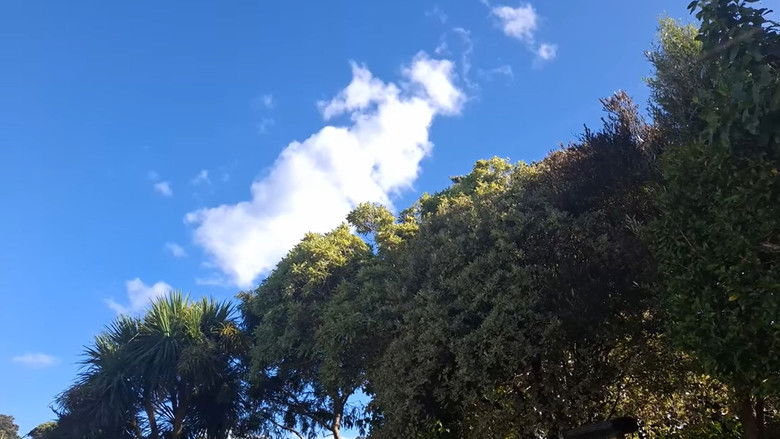 кадр из фильма Take Me