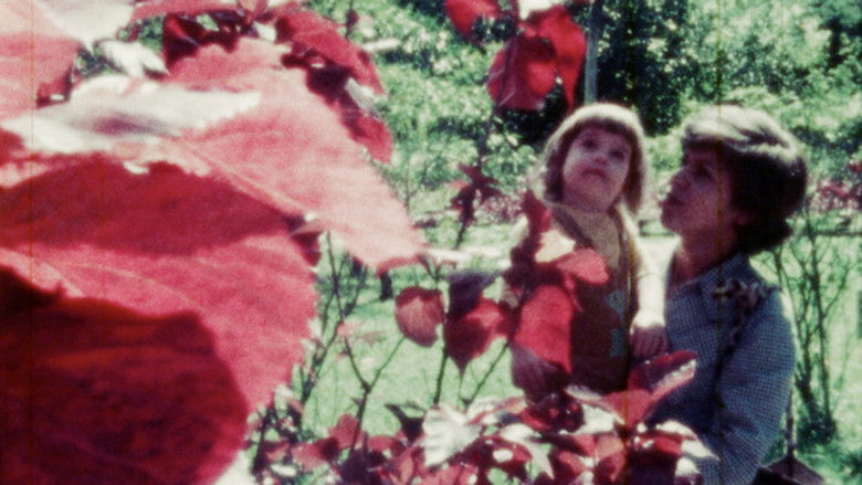 кадр из фильма Histoires maternelles