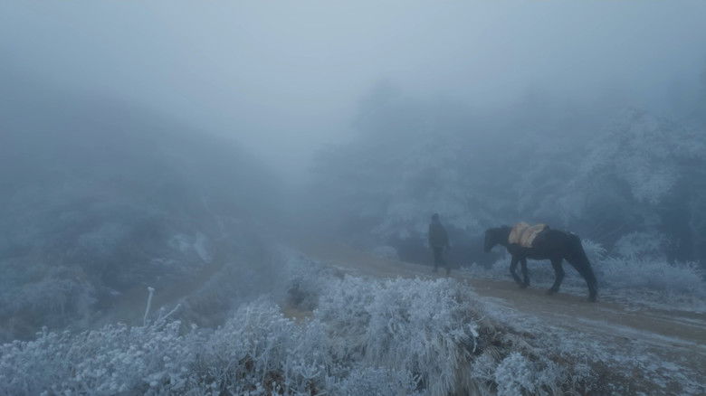 кадр из фильма Crossing Borders