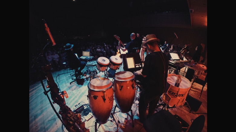 кадр из фильма 一把火 一张嘴 ：小老虎与上海交响乐团