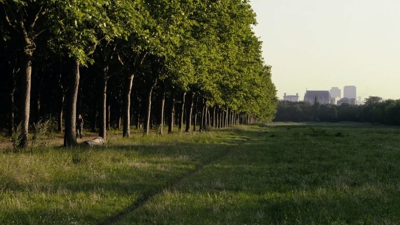 кадр из фильма Le bois dont les rêves sont faits
