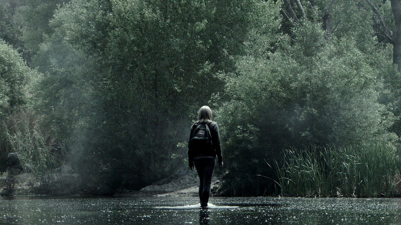 кадр из фильма Вуаль