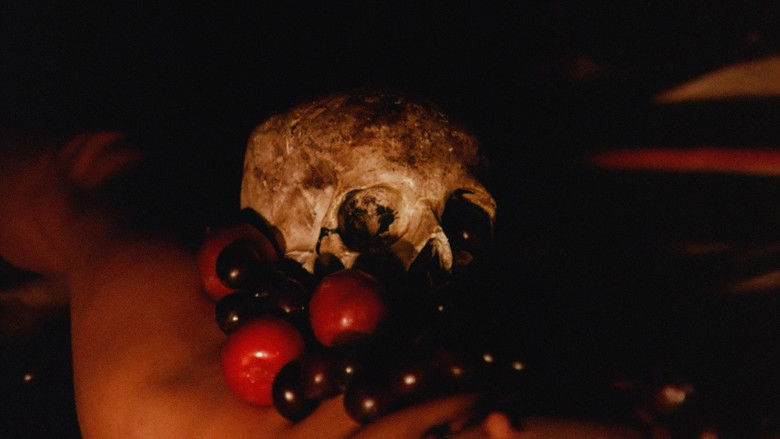 кадр из фильма Я пью твою кровь