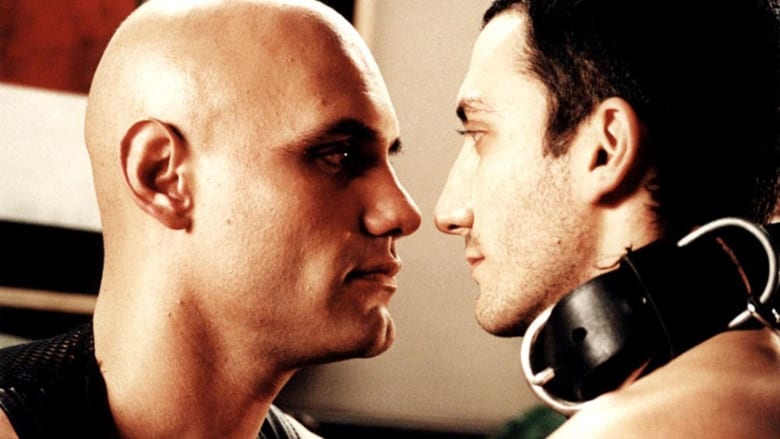 Год без любви