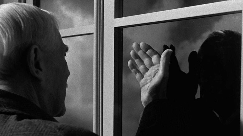 кадр из фильма Земляничная поляна