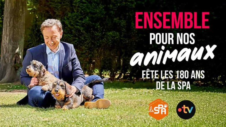кадр из фильма Ensemble pour nos animaux - fête les 180 ans de la SPA