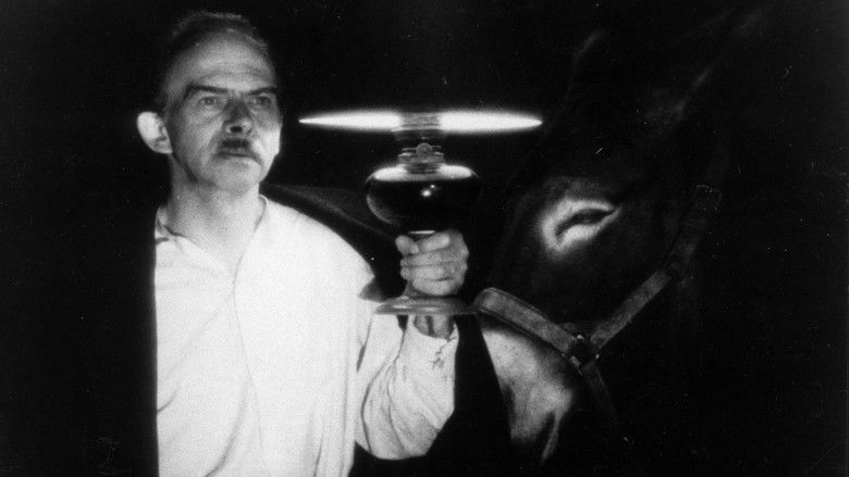 кадр из фильма Наудачу, Бальтазар