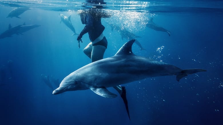 кадр из фильма Спасённые от акул