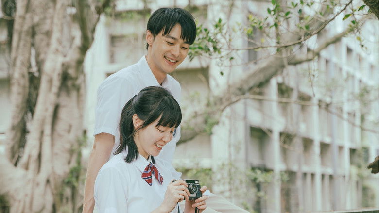 кадр из фильма 夏日最後的祕密