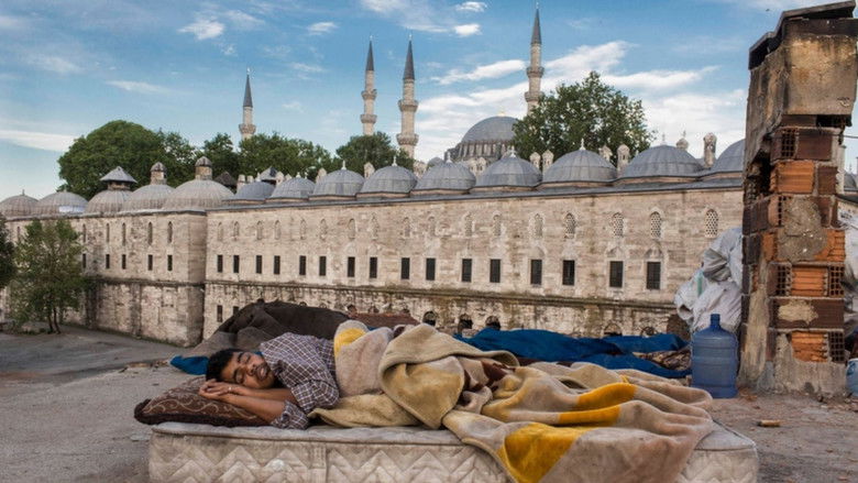 кадр из фильма Afganistanbul