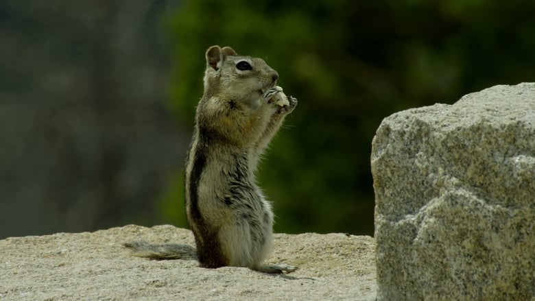 кадр из фильма America: The Beautiful Country