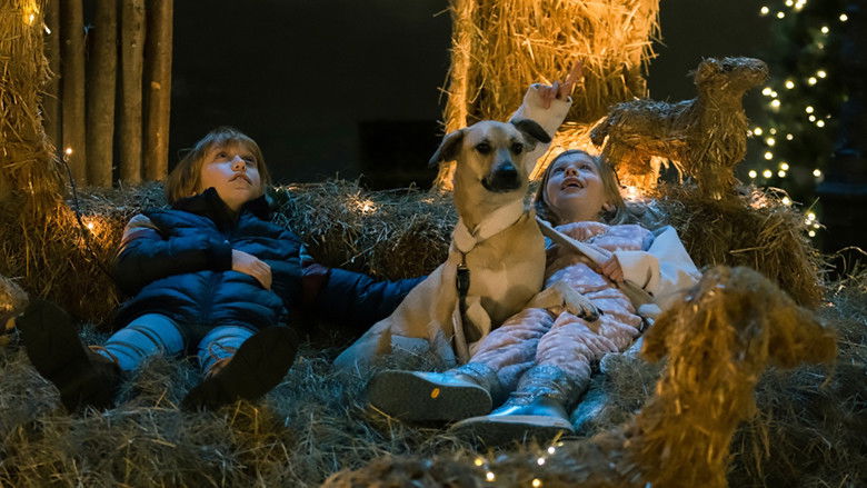 кадр из фильма Kapa