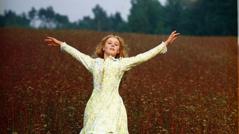 кадр из фильма Аустерия