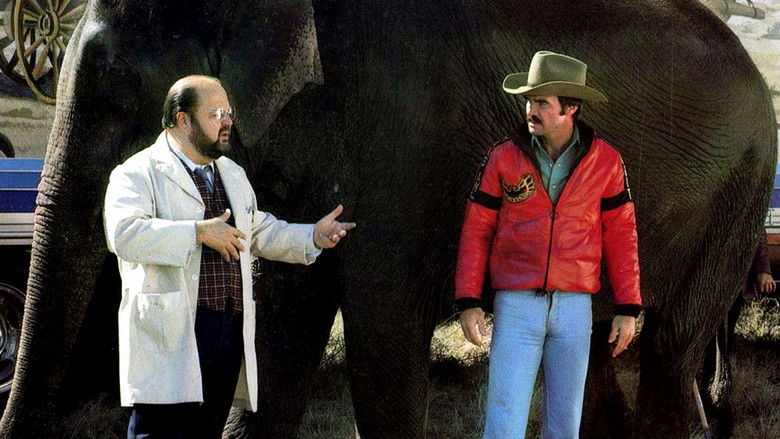 кадр из фильма Смоки и Бандит 2