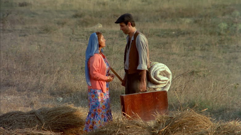 кадр из фильма Şark Bülbülü