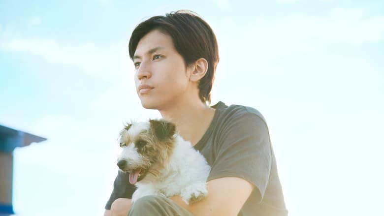 кадр из фильма 100回泣くこと