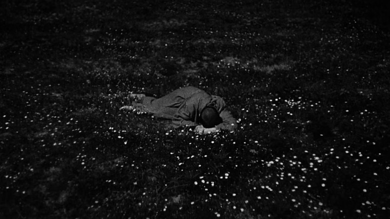 кадр из фильма Франциск, менестрель Божий