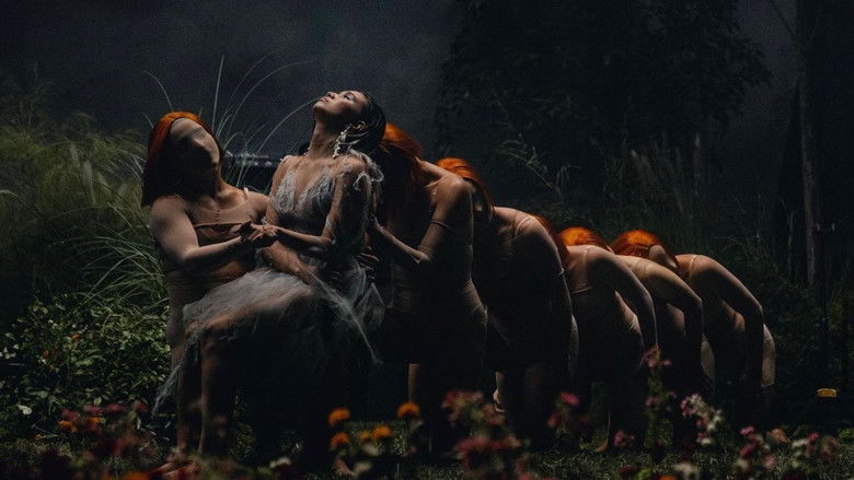 кадр из фильма MOONCHILD EXPERIENCE