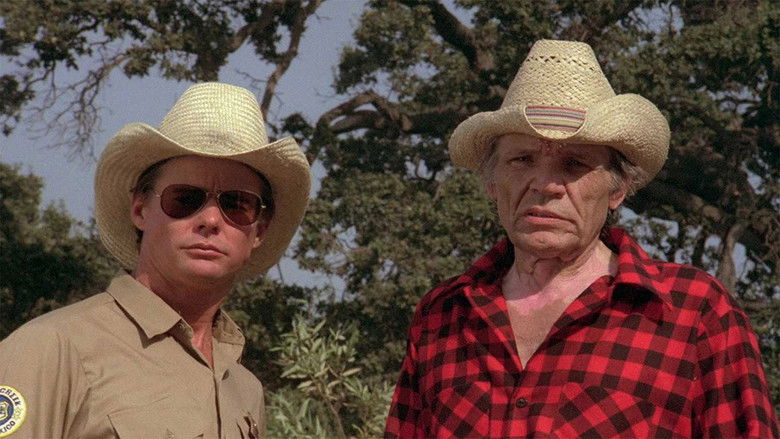 кадр из фильма Возвращение