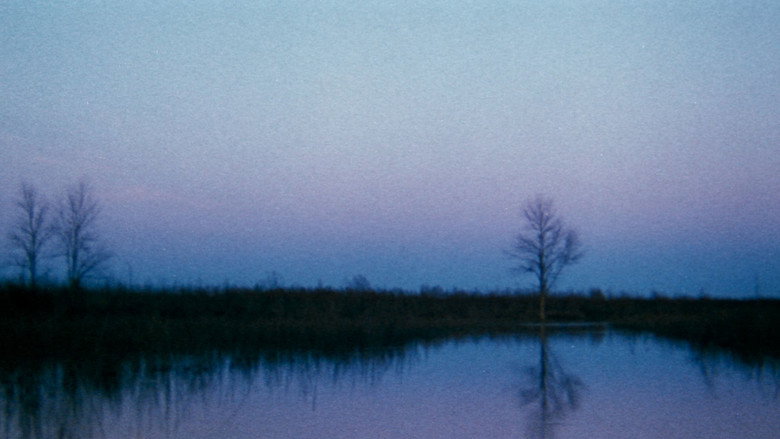 кадр из фильма The Legend of Boggy Creek