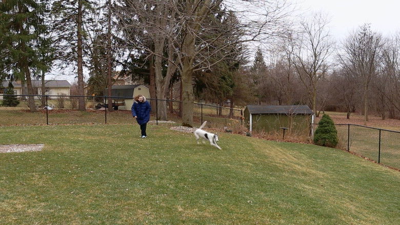 кадр из фильма I Like To Be Called Kate