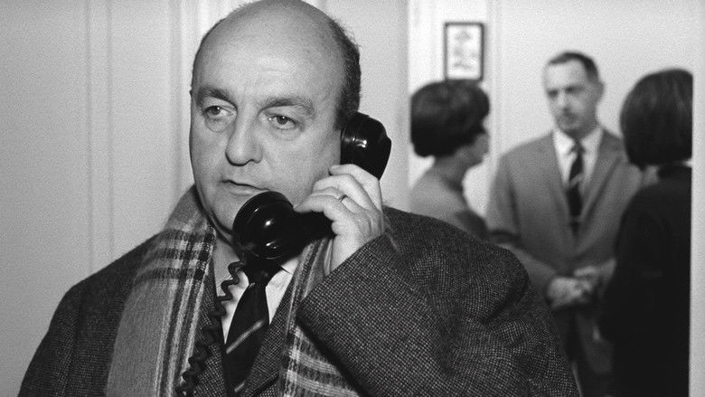 кадр из фильма Если бы я был шпионом