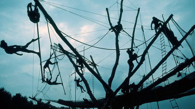 кадр из фильма Circus Baobab