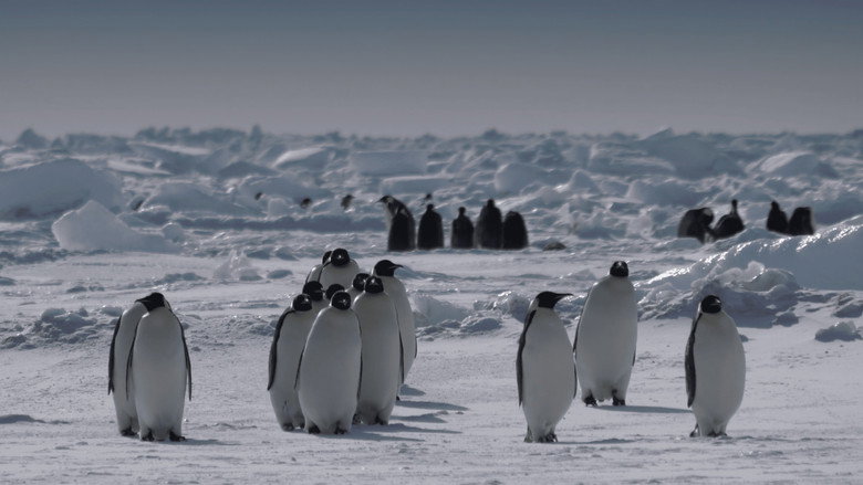 кадр из фильма Antarctica in a Warming World