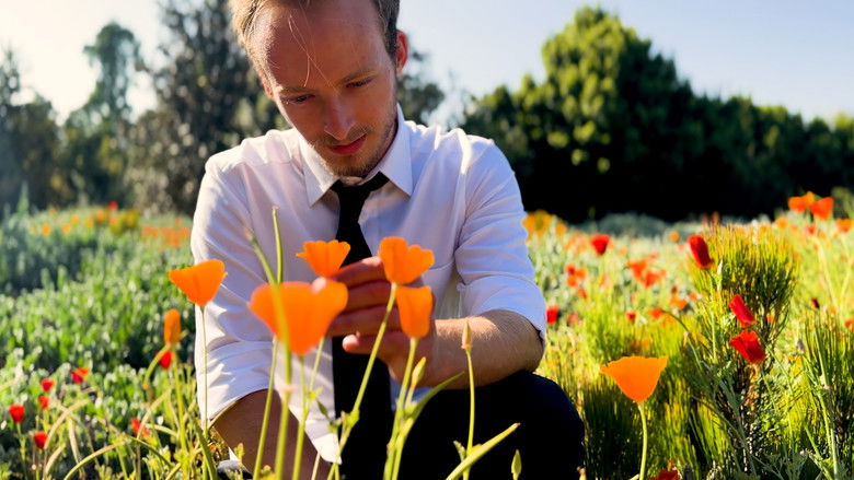 кадр из фильма Outside the Box