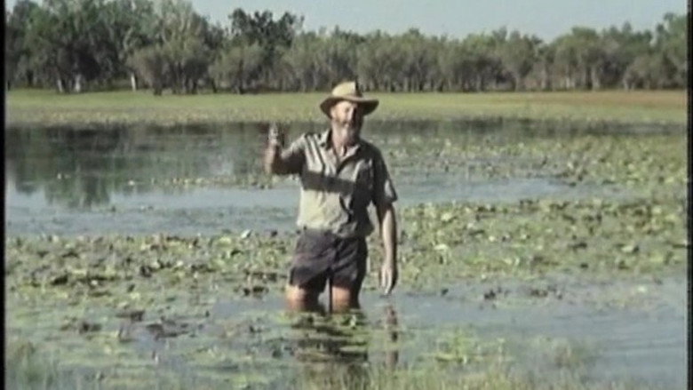 кадр из фильма Kakadu To The Kimberley