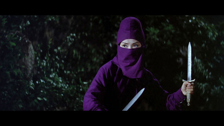 кадр из фильма 女俠黑蝴蝶