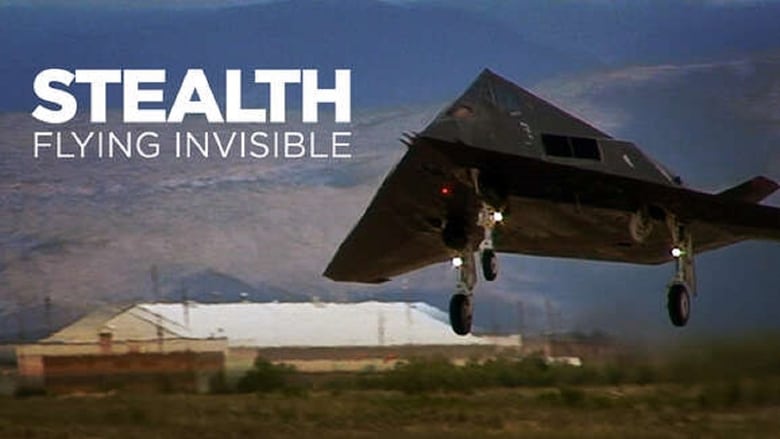 Stealth: Flying Invisible