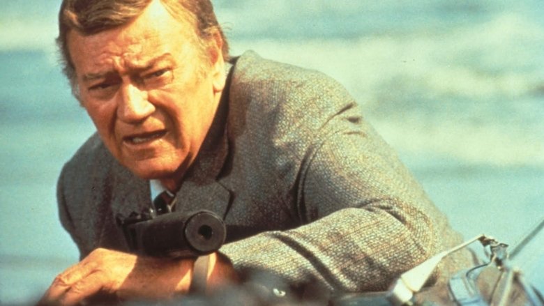 кадр из фильма МакКью