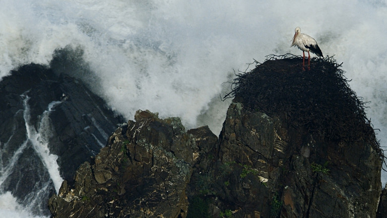 кадр из фильма Дикая Португалия