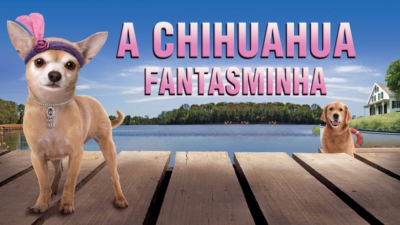 кадр из фильма Chihuahua Too!