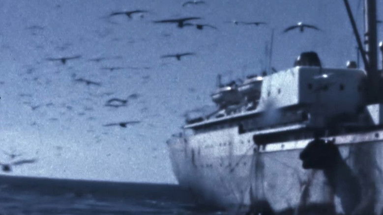 кадр из фильма Reisas